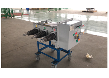 LW3-12/T630-20型户外交流高压SF6断珞器